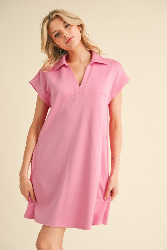 Kimberly Collared Dress in Pink (Plus)